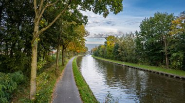 Nehrin yeşil orman ovasındaki görüntüsü. Güzel mavi nehrin inanılmaz görüntüsü. Orman arkaplanı.