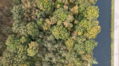 Yeşil zümrüt çam ormanlarının ve ağaç tepelerinin güzel dokusuna sahip sarı yaprakların tam kare görüntüsünün tam üstünde. Güzel sonbahar manzarası. Sonbahar altın renginde dağlar