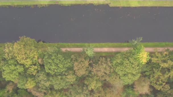 Topdown antenn utsikt av en drönare av en flod eller kanal i höstskogen — Stockvideo
