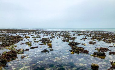Fransa 'nın Normandiya sahilinde kayaların üzerinde dalgalar süzülüyor.