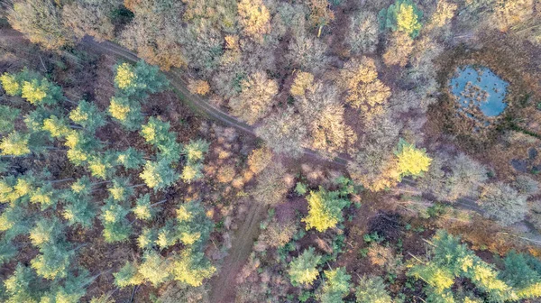 Yeşil zümrüt çam ormanlarının ve ağaç tepelerinin güzel dokusuna sahip sarı yaprakların tam kare görüntüsünün tam üstünde. Güzel sonbahar manzarası. Sonbahar altın renginde dağlar — Stok fotoğraf