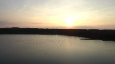 Orman ve Sunset 'te ağaçlarla çevrili su yansıması olan güzel Manzaralı Göl Manzarası. Hava Aracı Atışı. Beerse, Belçika yakınlarında çekilmiş. 4K