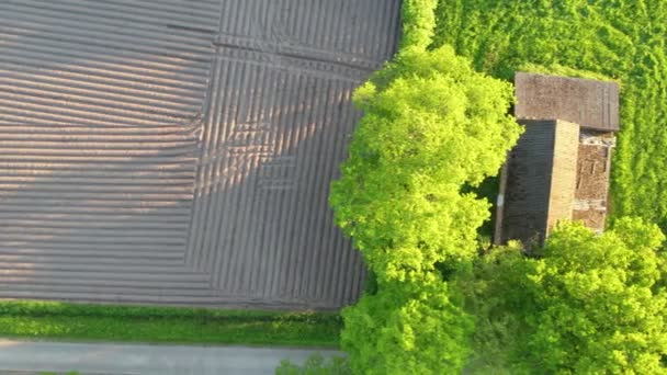 Vue aérienne de haut en bas des terres de la ferme verte, d'un hangar et de terres fraîchement labourées — Video