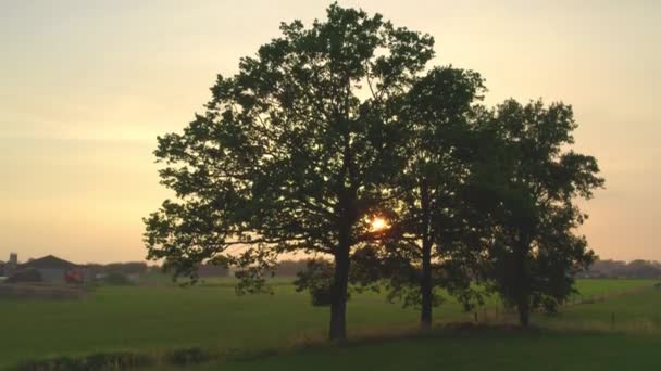Drönare utsikt över solen bakom träd vid solnedgången eller soluppgången över skogen. Solen går ner bakom en grön skog, antennen skjuts med en drönare. — Stockvideo