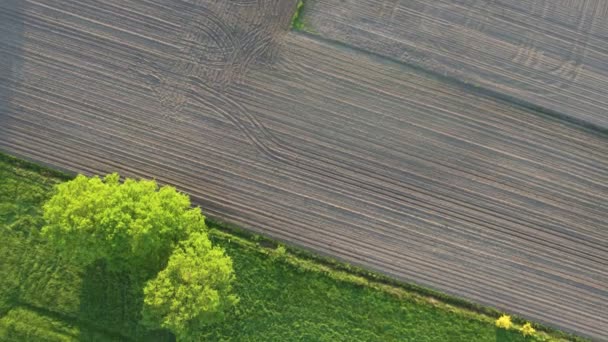 Foto aerea dall'alto verso il basso della terra verde Farm, un capannone, e terreni appena plown — Video Stock