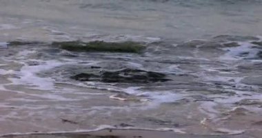 Slow Motion - Okyanus dalgası n cyan deniz suyu beyaz köpükle güneşli mavi gökyüzünde arka planda tropikal yaz kumlu plajlarda güneşli bir günde ada cennetinde, b-roll video görüntüleri