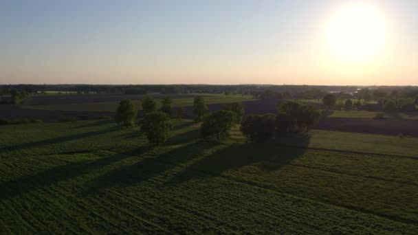 Puesta de sol sobre un campo forestal en la campiña belga, volando entre árboles — Vídeos de Stock
