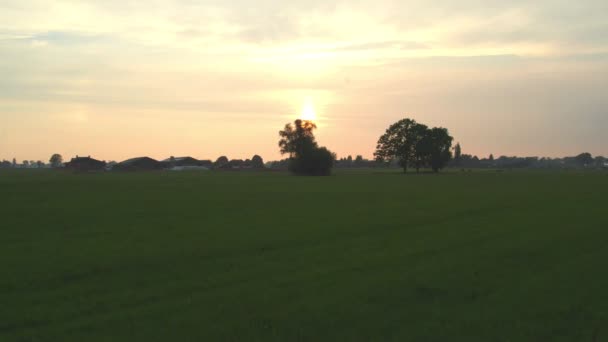 Zachód słońca nad farmą leśną na belgijskiej wsi, przelatujący obok drzew — Wideo stockowe