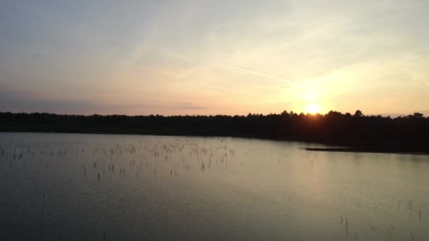 Belle vue sur le lac panoramique avec reflet d'eau, entouré par la forêt et les arbres au coucher du soleil. Drone aérien abattu. Pris près de Beerse, Belgique. 4K — Video