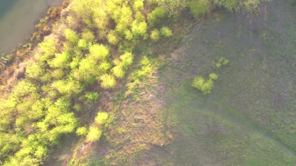 Drone aérea tiro, voando sobre um verão pôr-do-sol floresta lago litoral. Reflexões do pôr do sol e sombras na água, Verão e viagens conceito de férias — Vídeo de Stock
