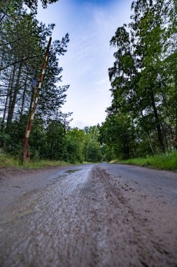 Ormanda uzun ve düz bir yol.