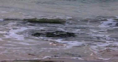 Slow Motion - Okyanus dalgası n cyan deniz suyu beyaz köpükle güneşli mavi gökyüzünde arka planda tropikal yaz kumlu plajlarda güneşli bir günde ada cennetinde, b-roll video görüntüleri