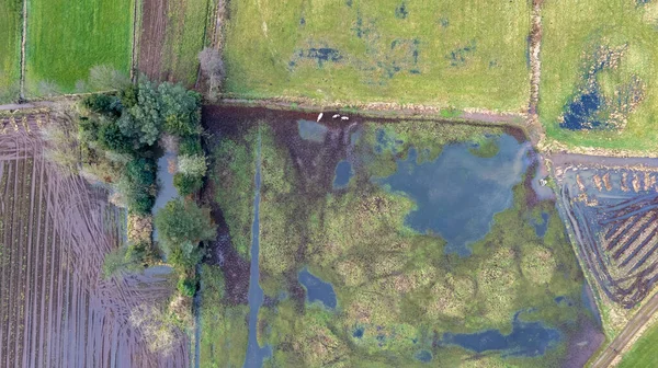 Flooded Land or landscape of green field with lots of water in aerial view. Include agriculture farm, house building, village. That real estate or property. Plot of land for housing subdivision — Fotografia de Stock