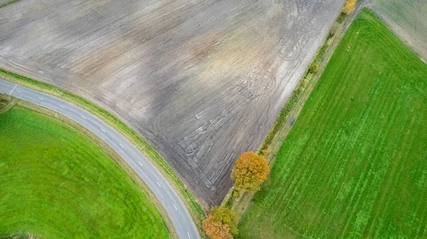 Autumn road near the corn field. Aerial view, drone shot. — Stockfoto