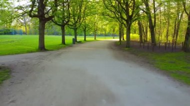 Park, walk between the meadows, over the path along the trees, view from first person, steadicam drone footage 