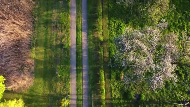 Gravel road country in forest top view. — Video Stock