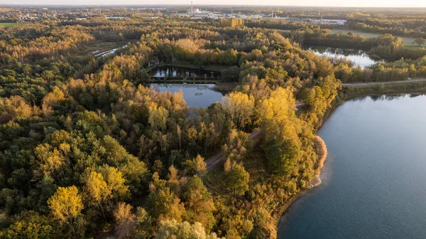 Pemandangan udara dari hutan dan danau Blakheide, Merksplas, Belgia, Eropa — Stok Foto