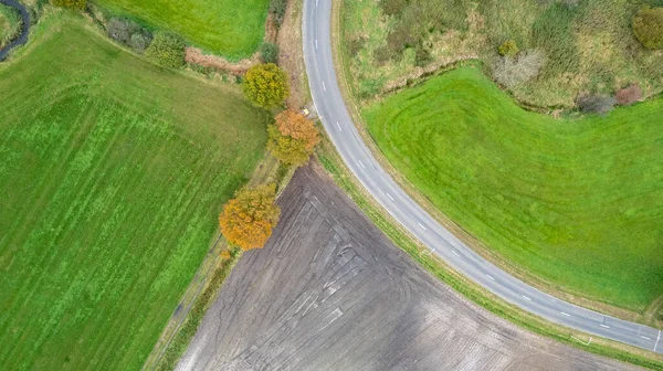 Autumn road near the corn field. Aerial view, drone shot. — Stockfoto