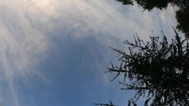 Beautiful blue sky with lots of clouds timelapse. Cloudy sky in summer. Beautiful nature and puffy cloudscape. Blue sky turning dark in evening. Light rays shining through the clouds. — Video Stock