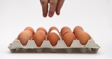 Beyaz arka planda izole edilmiş kahverengi yumurtalarla dolu bir kutuda beyaz tavuk yumurtası alan bir erkek.