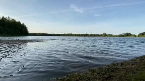 Όμορφη θέα του τοπίου στο νερό μιας λίμνης δάσος που ρέει στην πλευρά του νερού στις όχθες σε μια ηλιόλουστη μέρα του καλοκαιριού. 4K. HD — Αρχείο Βίντεο