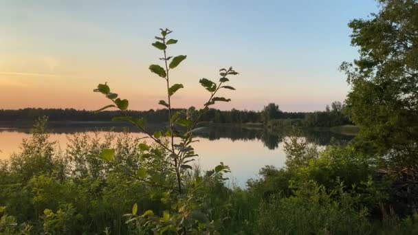 Beau coucher de soleil sur un lac avec une forêt à l'horizon, ciel dramatique coloré se reflète à la surface de l'eau — Video