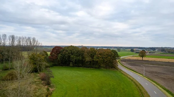 Podzimní cesta poblíž kukuřičného pole. Letecký pohled, střela z bezpilotního letounu. — Stock fotografie