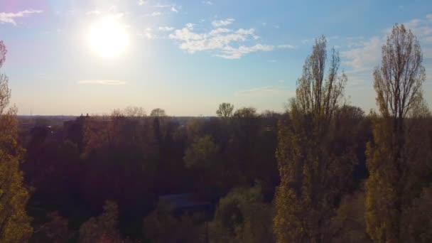Drone zicht op de zon achter de bomen bij zonsondergang of zonsopgang boven het bos. De zon gaat onder achter een groen bos, luchtfoto genomen met een drone. — Stockvideo
