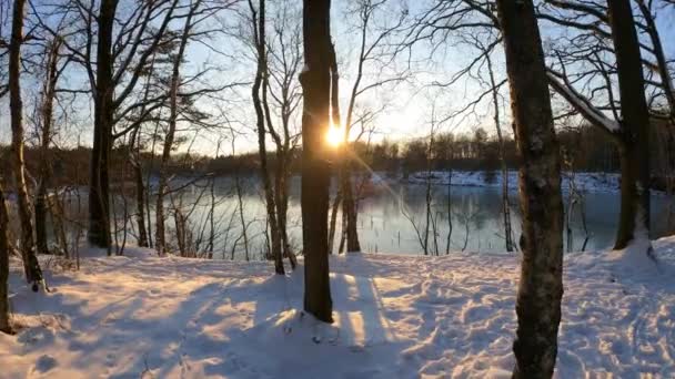 Sneeuw veld beweging in de winter natuur mooi landschap — Stockvideo