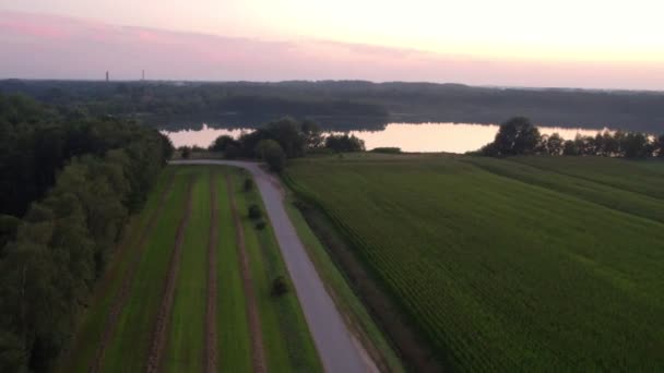 Belle vue sur le lac panoramique avec reflet d'eau, entouré par la forêt et les arbres au coucher du soleil. Drone aérien abattu. Pris près de Beerse, Belgique. 4K — Video