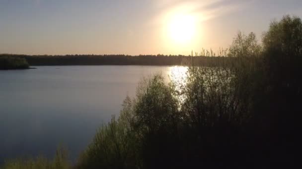 Όμορφη θέα της γραφικής λίμνης με αντανάκλαση του νερού, που περιβάλλεται από δάσος και δέντρα στο ηλιοβασίλεμα. Πυροβολισμός από εναέριο drone. Τραβήχτηκε κοντά στο Beerse, Βέλγιο. 4K — Αρχείο Βίντεο