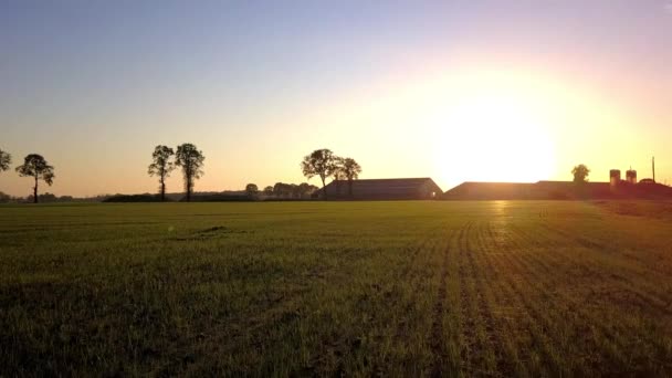 Clip cinematográfico aéreo, Drone volando sobre un campo agrícola durante la puesta del sol — Vídeo de stock
