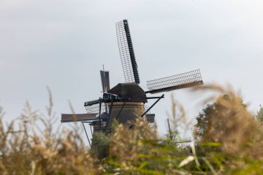 UNESCO 'nun dünya mirası sitesi Kinderdijk' teki ünlü Hollanda yel değirmenlerinin yatay resmi. Fotoğrafta, Hollanda 'nın güneyindeki Kinderdijk kentinde inşa edilen 19 değirmenden beşi yer alıyor.