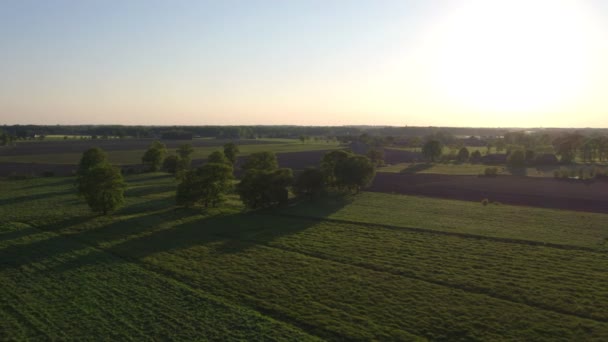 Puesta de sol sobre un campo forestal en la campiña belga, volando entre árboles — Vídeos de Stock