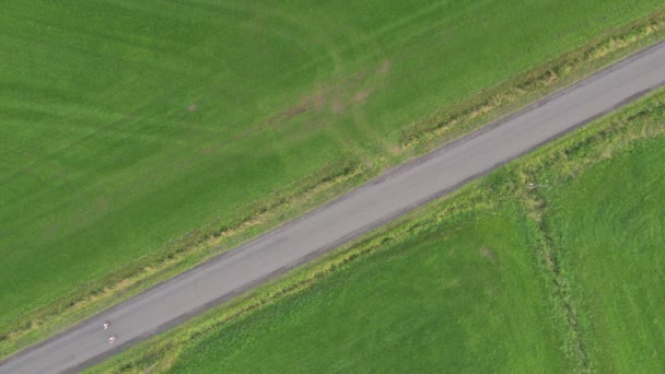 Függőleges légi felülnézet lefelé lövés az emberek sétáló sínek között a zöld mezők, Antwerpen, Belgium — Stock videók