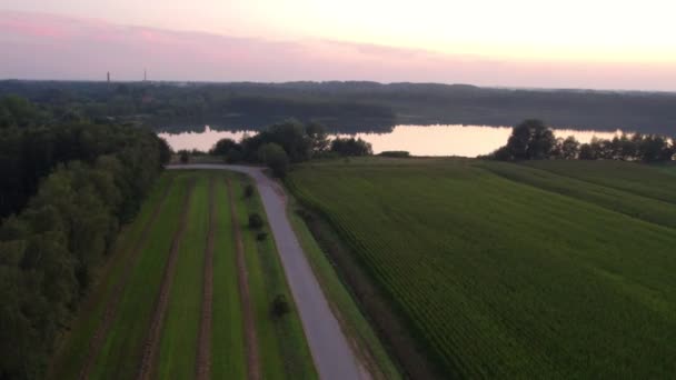 Вид на живописное озеро с водой, окруженное лесом и деревьями на закате. Воздушный дрон. Снимок сделан недалеко от Бирса, Бельгия. 4K — стоковое видео