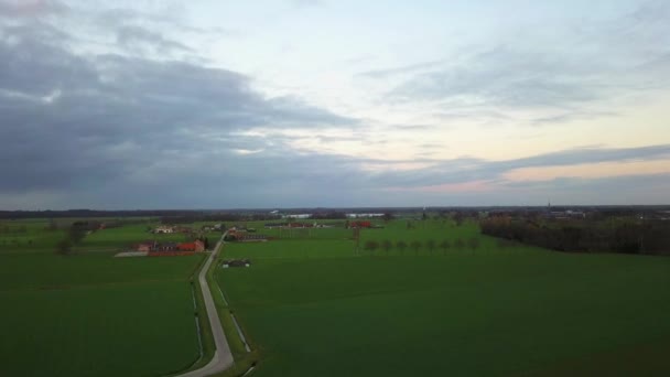 Flying over green meadow with small trees — Stock Video
