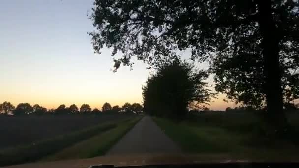Kolorowe niebo nad i wspaniałe drzewa na uboczu wiejskiej drogi podczas zachodu słońca — Wideo stockowe