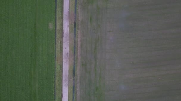 Vista aérea, tiro con dron, campo de agricultura paisaje aéreo. Vista aérea de la vida rural. El horizonte del bosque. El horizonte de la luz solar. La agricultura. En el campo. Campo agrícola paisaje aéreo. Agroindustria — Vídeos de Stock