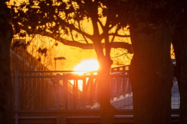 Güneş batarken sıcak turuncu bir gökyüzüne karşı köprüyü ve ağaçları kapatın.