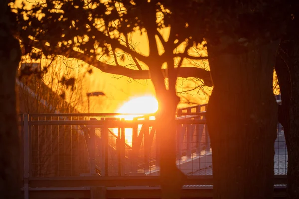 Nahaufnahme von Brücke und Bäumen vor einem warmen orangen Himmel, wenn die Sonne untergeht — Stockfoto