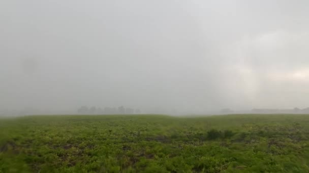 Regenachtig landschap groen zomerlandschap. 4k video van regenval, regendruppels, landelijke velden onder een bewolkte grijze lucht — Stockvideo