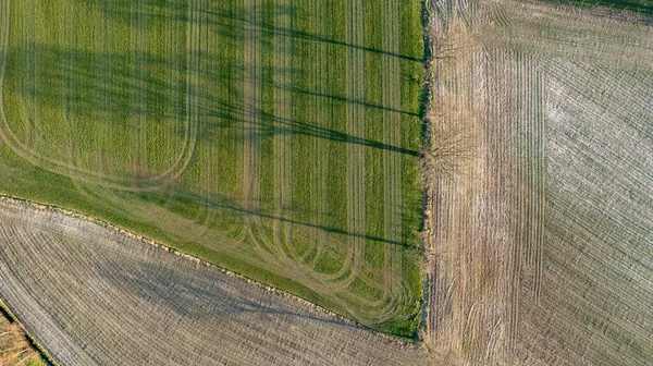 Widok z lotu ptaka geometryczne pola uprawne, przedstawiające zieloną łąkę i pola orane, schwytane dronem — Zdjęcie stockowe