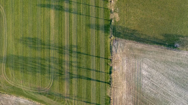 Hava manzaralı geometrik tarlalar, yeşil bir çayır ve sürülen tarlaları gösteriyor, İHA ile yakalanmış. — Stok fotoğraf