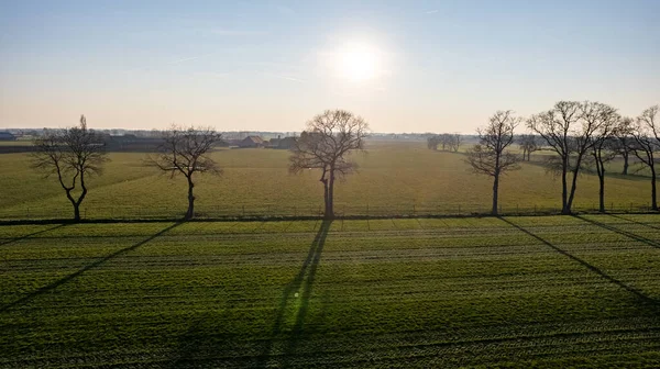 The rays of the setting sun shine through the branches of a tree. — Fotografia de Stock