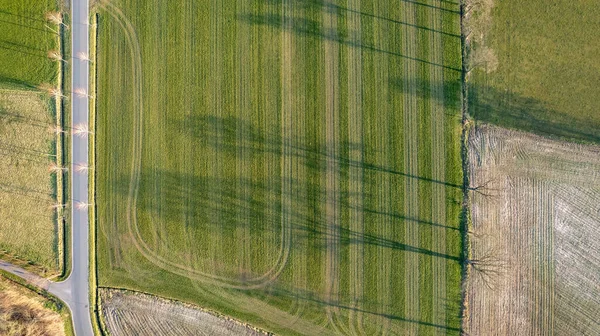 Hava manzaralı geometrik tarlalar, yeşil bir çayır ve sürülen tarlaları gösteriyor, İHA ile yakalanmış. — Stok fotoğraf