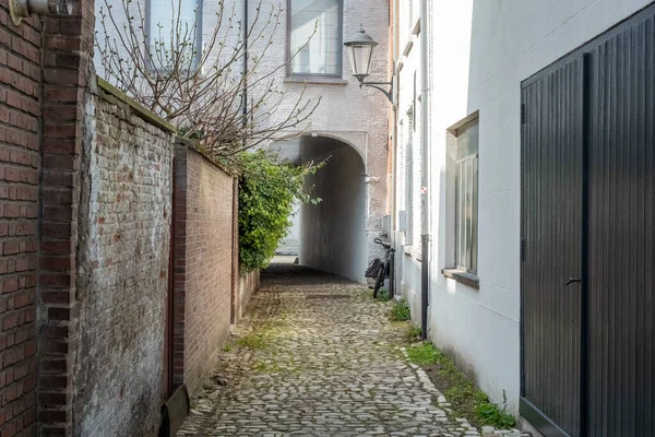 MECHELEN, Malin, Antwerp, BELGIUM, 28 Mart 2022, Mekke, Flanders, Belçika 'nın Klein Begijnhof' undaki boş sokak. Yüksek kalite fotoğraf.