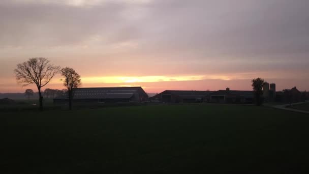 Luftaufnahmen einer Drohne im Tiefflug über einem schönen Sonnenuntergang Bauernhof Feld warmes Licht Sonne — Stockvideo