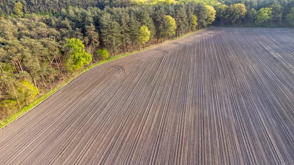 Aerial Drone Shot: Beautiful Agricultural Plantations Bordering with Wild Forests in Belgium, Europe. Farming Fields of Vegetables, Vineyards. Massive Industrial Scale Growing of Eco Friendly Food — Stockfoto