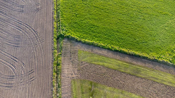 Bovenaanzicht van de drone vanuit de lucht, rijen grond voor het planten. Landbouwbedrijfspatroon in een geploegd veld — Stockfoto